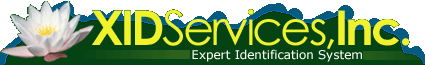 XID Services Logo